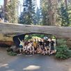 Groepsfoto Sequoia National Park